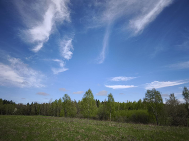 Parduodamas sklypas Kazimieravos k., Molėtų r. sav., 165.00 a ploto 4