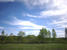 Parduodamas sklypas Kazimieravos k., Molėtų r. sav., 165.00 a ploto 5