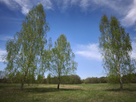 Parduodamas sklypas Kazimieravos k., Molėtų r. sav., 165.00 a ploto 7