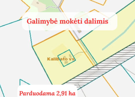 Parduodamas sklypas Pageležių k., Ukmergės r. sav., 291.00 a ploto