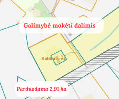 Parduodamas sklypas Pageležių k., Ukmergės r. sav., 291.00 a ploto 1