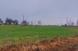 Parduodamas sklypas Pageležių k., Ukmergės r. sav., 291.00 a ploto 4