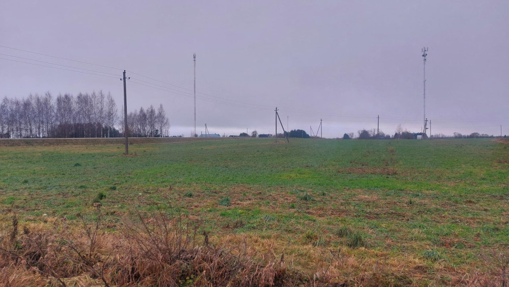 Parduodamas sklypas Pageležių k., Ukmergės r. sav., 291.00 a ploto 5