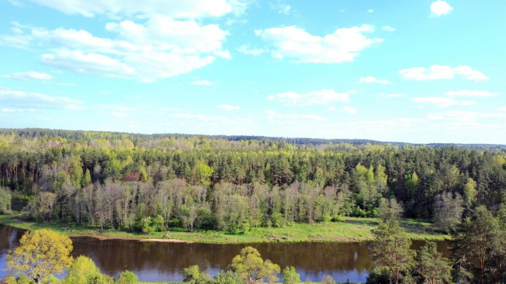 Parduodamas sklypas Liucionių k., Vilniaus r. sav., 61 a ploto 3