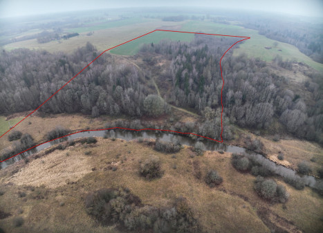 Parduodamas  sklypas Godlaukio k., Raseinių r. sav., 1465 a ploto