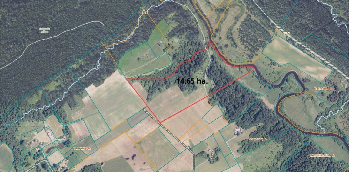 Parduodamas sklypas Godlaukio k., Raseinių r. sav., 1465 a ploto 3