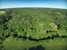 Parduodamas  sklypas Godlaukio k., Raseinių r. sav., 1465 a ploto 8