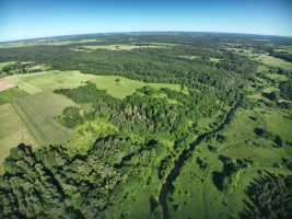 Parduodamas  sklypas Godlaukio k., Raseinių r. sav., 1465 a ploto 14