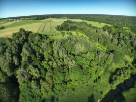Parduodamas  sklypas Godlaukio k., Raseinių r. sav., 1465 a ploto 15