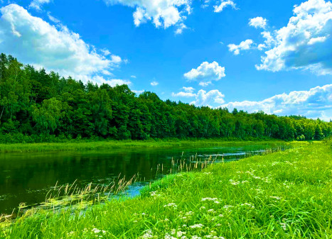 Parduodamas sklypas Panemuninkų k., Alytaus r. sav., 224 a ploto Parduodamas sklypas Panemuninkų k., Alytaus r. sav., 224 a ploto