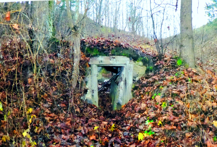 Parduodamas  sklypas Panemuninkų k., Alytaus r. sav., 224 a ploto 4
