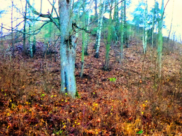 Parduodamas  sklypas Panemuninkų k., Alytaus r. sav., 224 a ploto 5