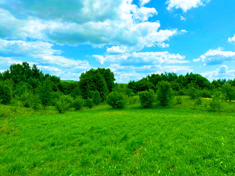Parduodamas  sklypas Panemuninkų k., Alytaus r. sav., 224 a ploto 7