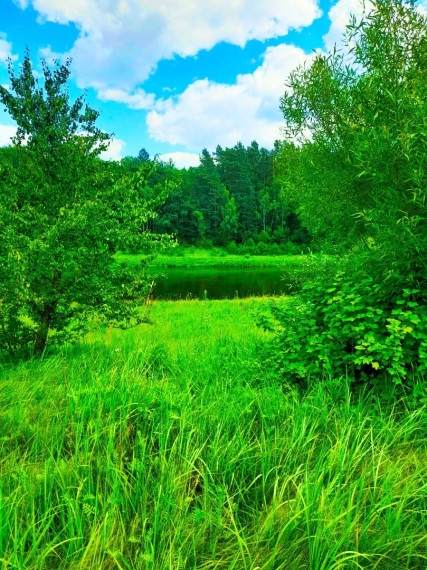 Parduodamas  sklypas Panemuninkų k., Alytaus r. sav., 224 a ploto 8