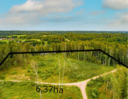 Parduodamas  sklypas Antalieptės mstl., Zarasų r. sav., 637 a ploto 4