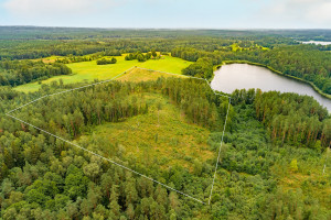 Parduodamas  sklypas Čepeliškių k., Zarasų r. sav., 538 a ploto 5