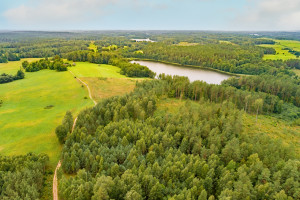 Parduodamas  sklypas Čepeliškių k., Zarasų r. sav., 538 a ploto 6