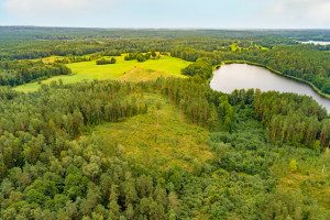 Parduodamas  sklypas Čepeliškių k., Zarasų r. sav., 538 a ploto 7