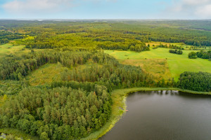 Parduodamas  sklypas Čepeliškių k., Zarasų r. sav., 538 a ploto 8