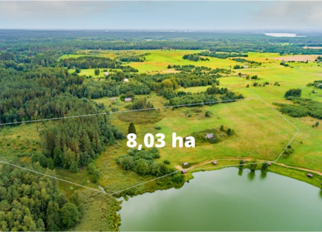 Parduodamas  sklypas Rudinės g., Antagavės k., Ignalinos r. sav., 803 a ploto