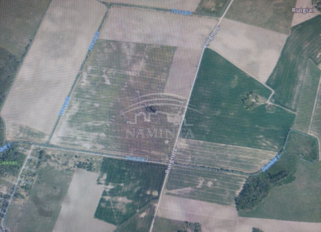 Parduodamas  sklypas Ruigių k., Klaipėdos r. sav., 1288 a ploto