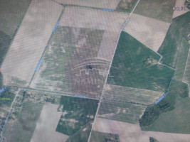Parduodamas  sklypas Ruigių k., Klaipėdos r. sav., 1288 a ploto 1