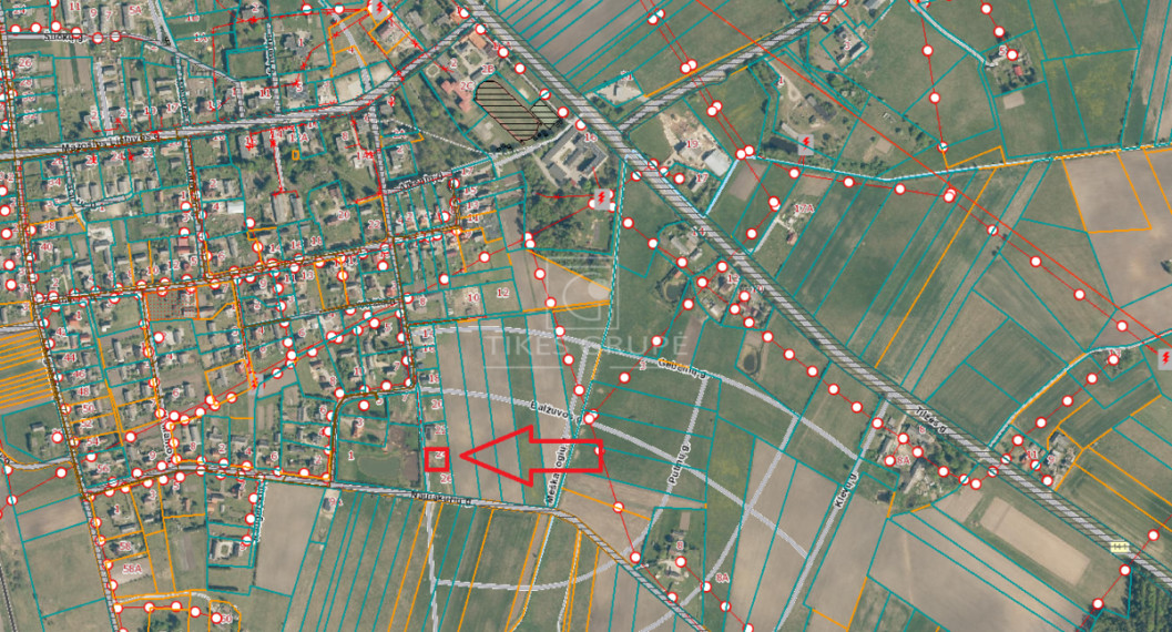 Parduodamas sklypas Saugų k., Šilutės r. sav., 11 a ploto 1