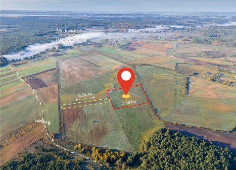 Parduodamas žemės ūkio paskirties sklypas Senojo Tarpupio k., Trakų r. sav., 258.36 a ploto
