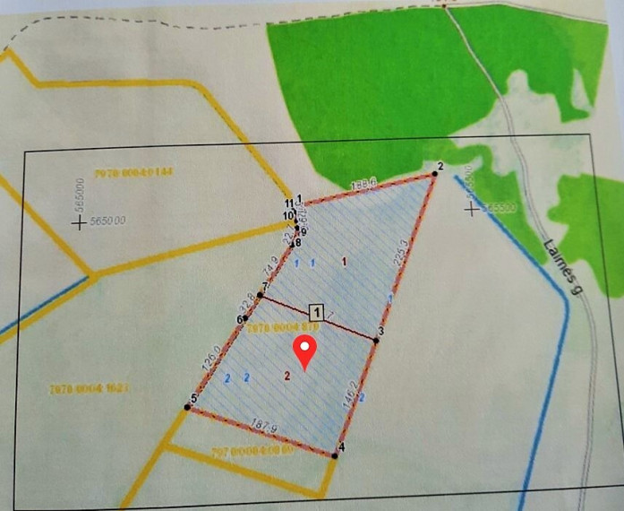 Parduodamas žemės ūkio paskirties sklypas Senojo Tarpupio k., Trakų r. sav., 258.36 a ploto 4