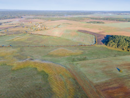 Parduodamas žemės ūkio paskirties sklypas Senojo Tarpupio k., Trakų r. sav., 258.36 a ploto 6