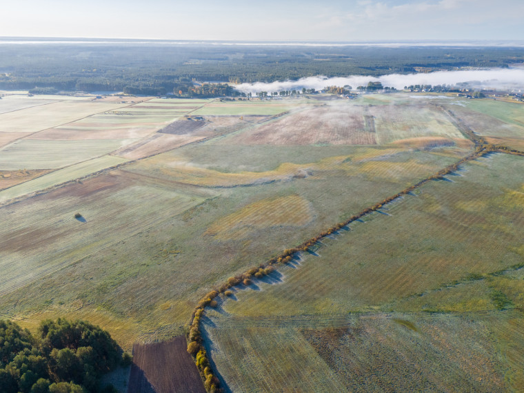 Parduodamas žemės ūkio paskirties sklypas Senojo Tarpupio k., Trakų r. sav., 258.36 a ploto 10