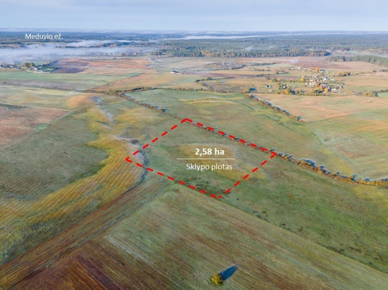 Parduodamas žemės ūkio paskirties sklypas Senojo Tarpupio k., Trakų r. sav., 258.36 a ploto 12