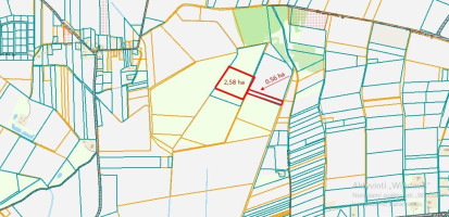 Parduodamas žemės ūkio paskirties sklypas Senojo Tarpupio k., Trakų r. sav., 258.36 a ploto 5