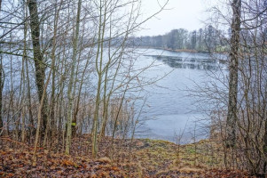 Parduodamas sklypas Bikėnų k., Ignalinos r. sav., 60 a ploto 11