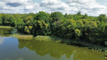 Parduodamas sklypas Bikėnų k., Ignalinos r. sav., 60 a ploto 4