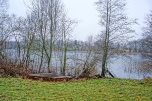 Parduodamas sklypas Bikėnų k., Ignalinos r. sav., 60 a ploto 8