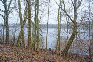 Parduodamas sklypas Bikėnų k., Ignalinos r. sav., 60 a ploto 9