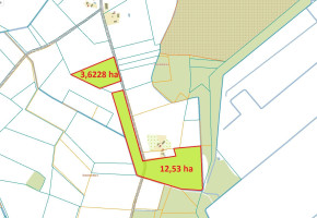 Parduodamas sklypas Griauželiškių k., Kupiškio r. sav., 1630.00 a ploto 3