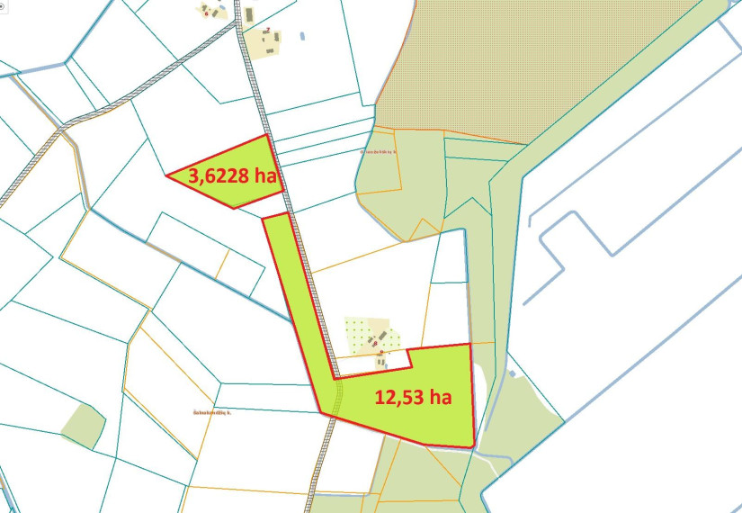 Parduodamas sklypas Griauželiškių k., Kupiškio r. sav., 1630.00 a ploto 3
