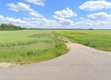 Parduodamas sklypas Rudilių k., Kupiškio r. sav., 532.00 a ploto