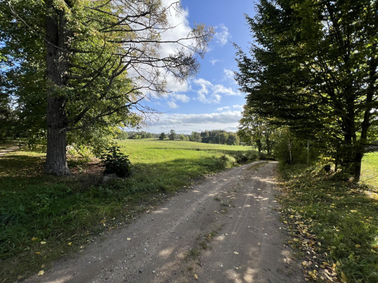 Parduodamas sklypas Naisių k., Šiaulių r. sav., 518.00 a ploto 2