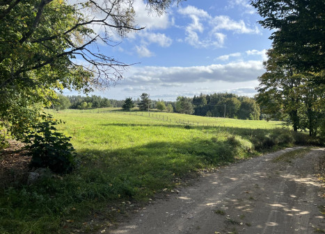 Parduodamas sklypas Naisių k., Šiaulių r. sav., 518.00 a ploto