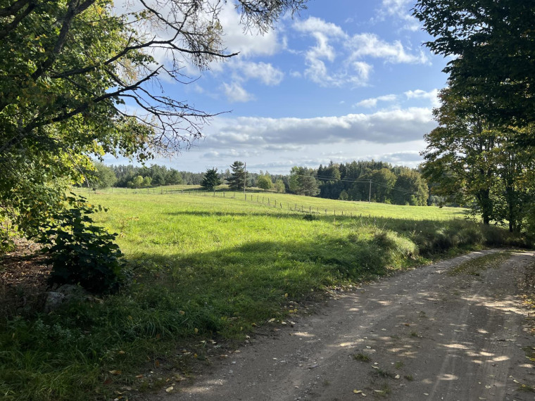 Parduodamas sklypas Naisių k., Šiaulių r. sav., 518.00 a ploto 1
