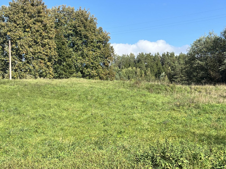 Parduodamas sklypas Naisių k., Šiaulių r. sav., 518.00 a ploto 13