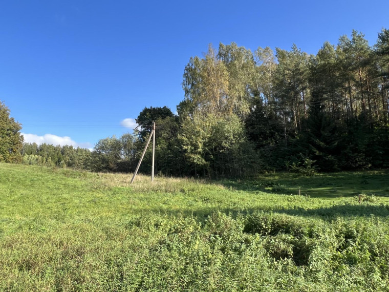 Parduodamas sklypas Naisių k., Šiaulių r. sav., 518.00 a ploto 14