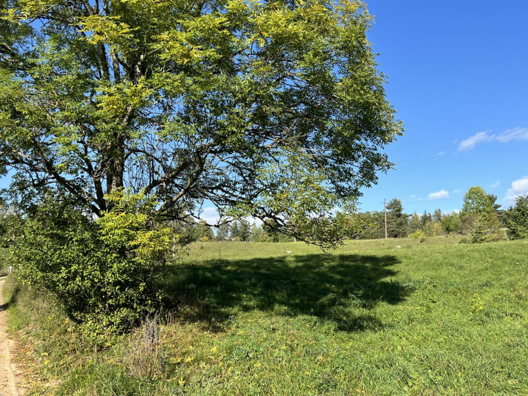 Parduodamas sklypas Naisių k., Šiaulių r. sav., 518.00 a ploto 15
