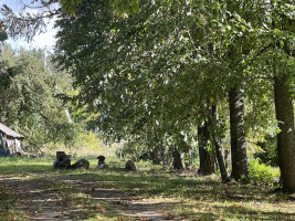 Parduodamas sklypas Naisių k., Šiaulių r. sav., 518.00 a ploto 5
