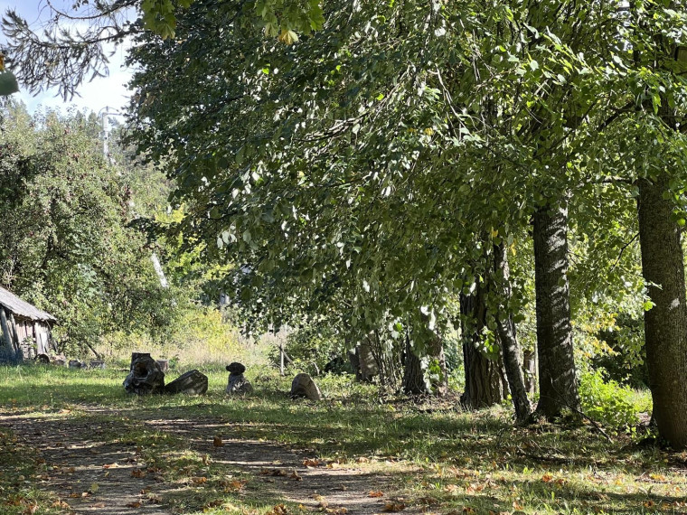 Parduodamas sklypas Naisių k., Šiaulių r. sav., 518.00 a ploto 6