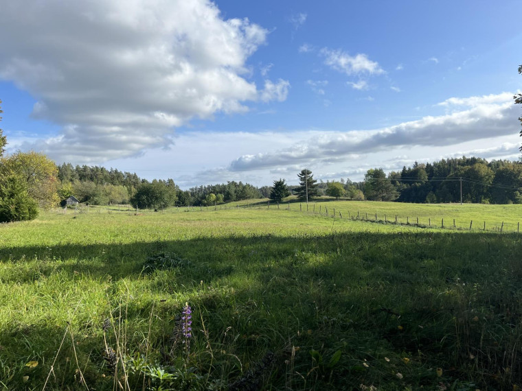 Parduodamas sklypas Naisių k., Šiaulių r. sav., 518.00 a ploto 7