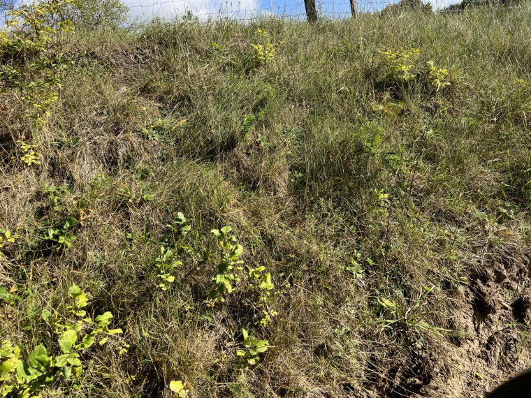Parduodamas sklypas Naisių k., Šiaulių r. sav., 518.00 a ploto 10